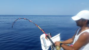 Obiettivopesca, pescandrea in combattimento col tonno Tonno rosso pescato a drifting con l'esca viva